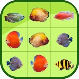 新银河app下载